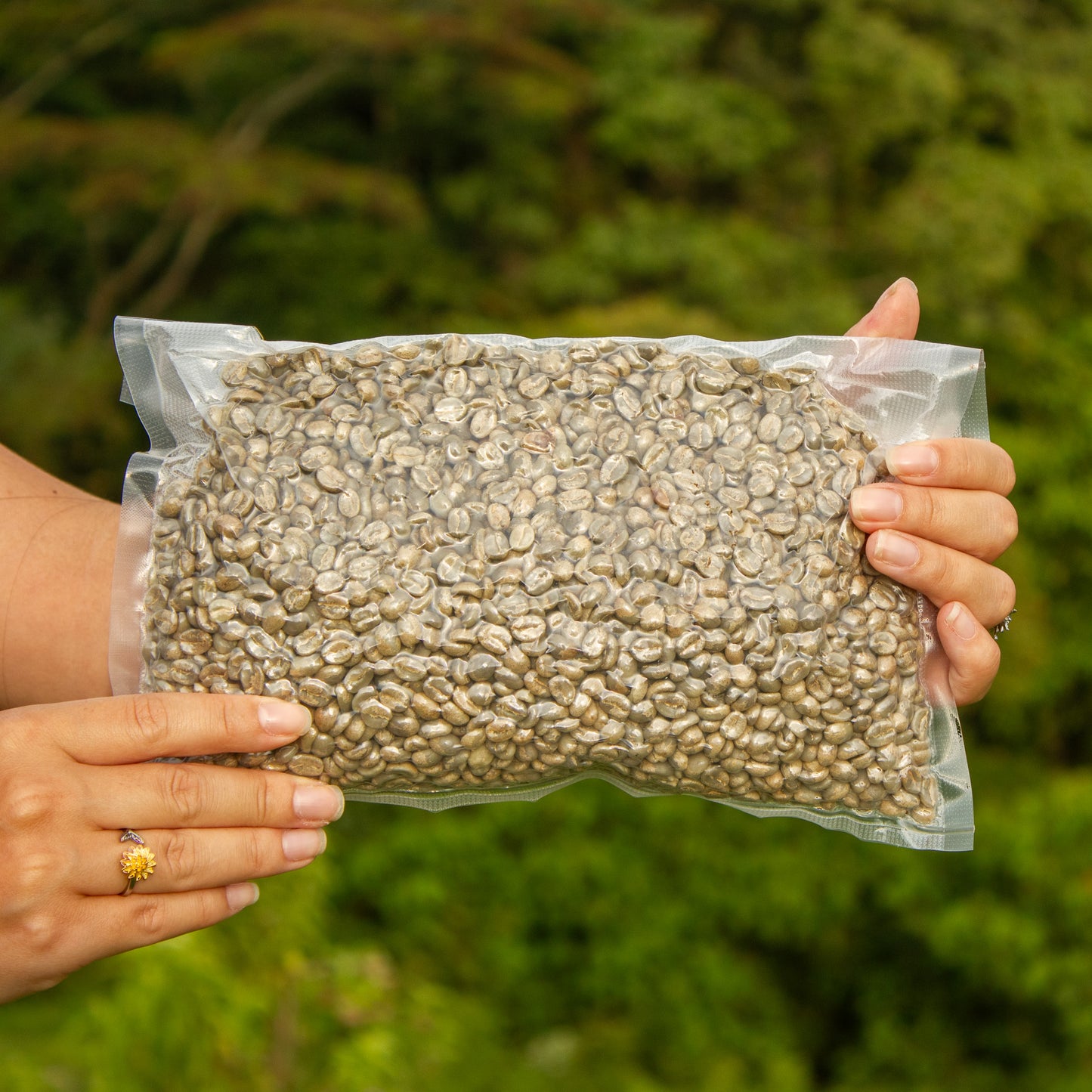 La Lima Green Coffee